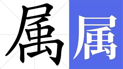 属 meaning|属 meaning